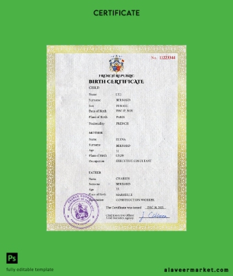 Fransa vital record birth Sertifika PSD Şablon