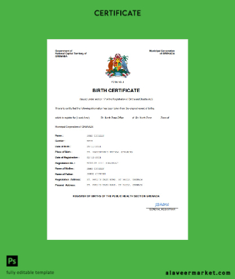 Grenada vital record birth Sertifika Word and PDF Şablon