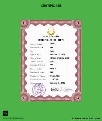 Guinea vital record birth Sertifika PSD Şablon