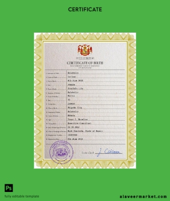 Hawaii birth Sertifika PSD Şablon