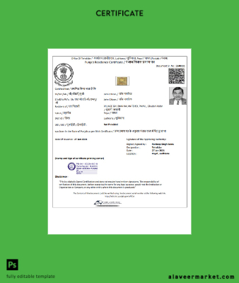 Hindistan Government of Punjab Oturma Sertifika Şablon in Word and PDF format