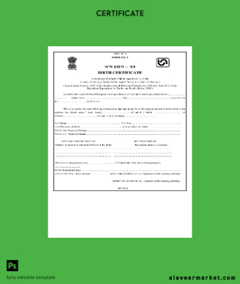 Hindistan Rajasthan Registration of Births and Deaths birth Sertifika