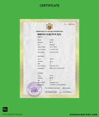 Liechtenstein vital record birth Sertifika PSD Şablon