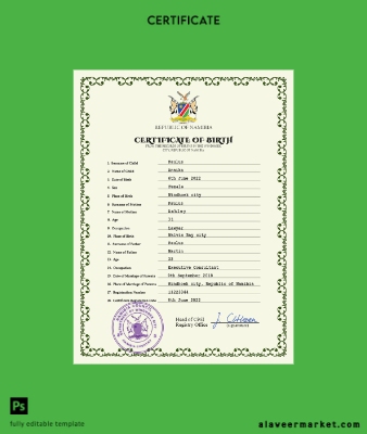 Namibia vital record birth Sertifika PSD Şablon
