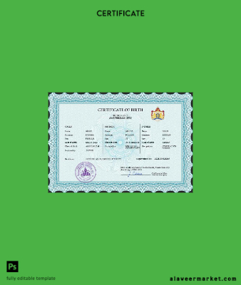 Hollanda vital record birth Sertifika PSD Şablon