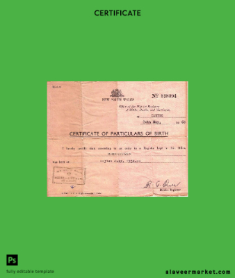 Yeni South Wales Office of the District Registrar birth Sertifika