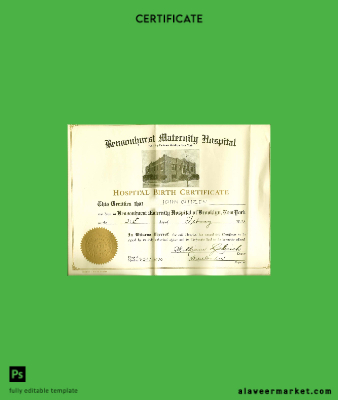 Yeni York Bensonhurst Maternity hospital birth Sertifika