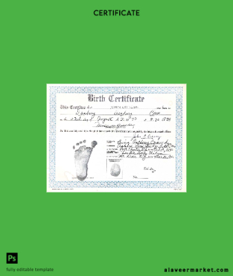 Yeni York Mt Kisco hospital birth Sertifika