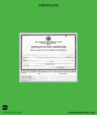 Yeni York office of Vital Statistics Albany birth certification