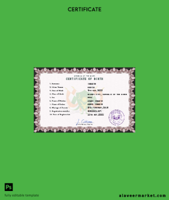 Niger vital record birth Sertifika PSD Şablon