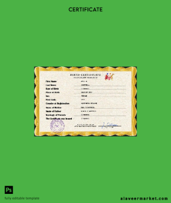 Northern İrlanda vital record birth Sertifika PSD Şablon