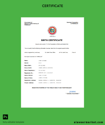Paraguay birth Sertifika Word and PDF Şablon