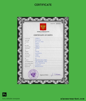 Rusya vital record birth Sertifika PSD Şablon