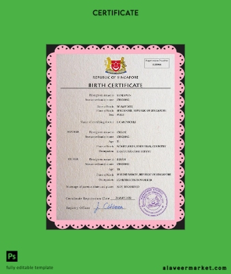 Singapur vital record birth Sertifika PSD Şablon