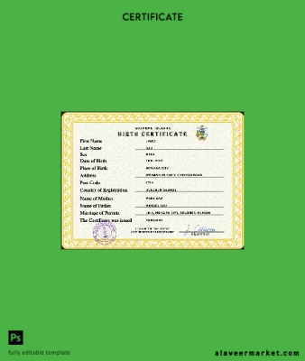 Solomon vital record birth Sertifika PSD Şablon