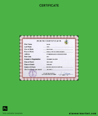 Solomon vital record death Sertifika PSD Şablon