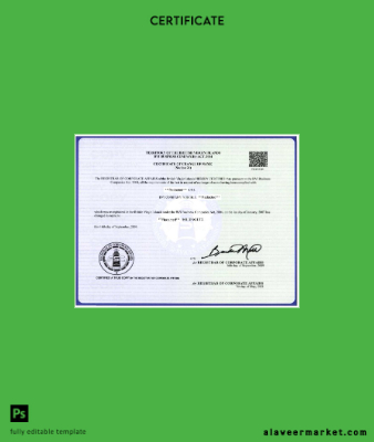 The British Virgin Islands Registrar of corporate affairs name change Sertifika