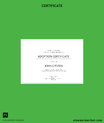 USA Adoption Sertifika