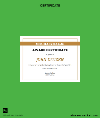 USA Award Sertifika