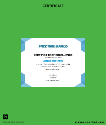 USA Best Performance Cert