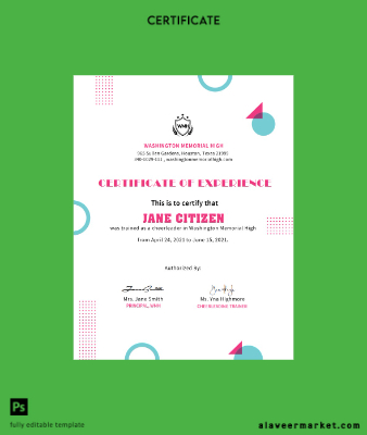 USA Cheerleader Cert