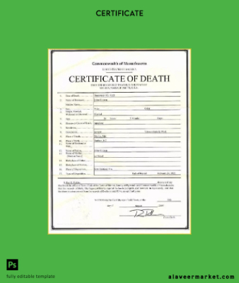 USA Commonwealth of Massachusetts the records of deaths in Marion death Sertifika