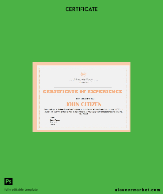 USA Şirket Experience Cert
