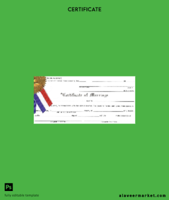 USA County of Michigan marriage Sertifika