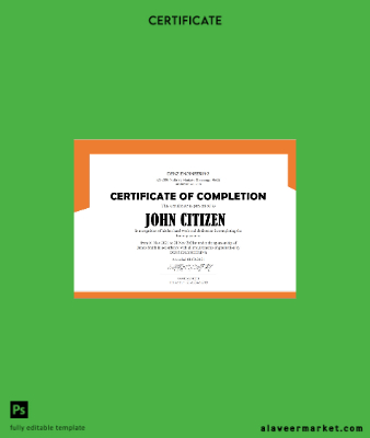 USA Denz Engineering Internship Cert