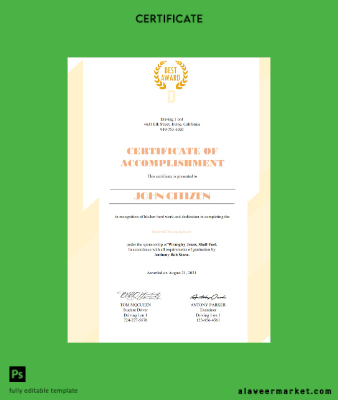 USA Sürücü Belgesi Cert