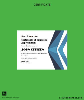 USA Employee Appreciation cert Version 2
