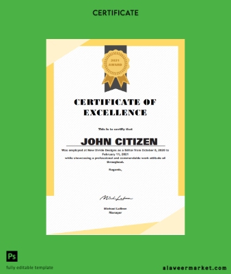 USA Excellence Cert