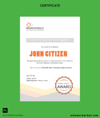 USA Excellence cert Version 2
