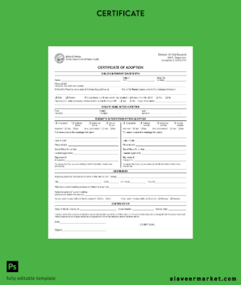 USA Illinois department of public Sağlık adoption Sertifika