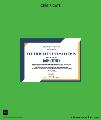 USA Internship cert