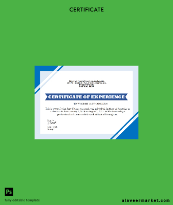USA Job Experience cert Version 2