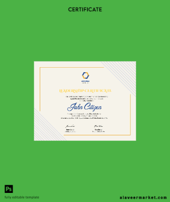 USA Leadership cert