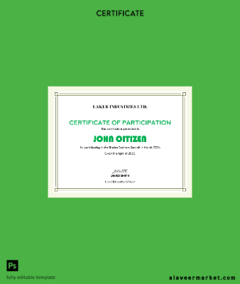 USA Modern Participation cert