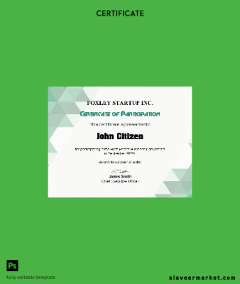 USA Participation cert