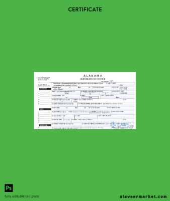 USA Petitioner's Representative divorce Sertifika