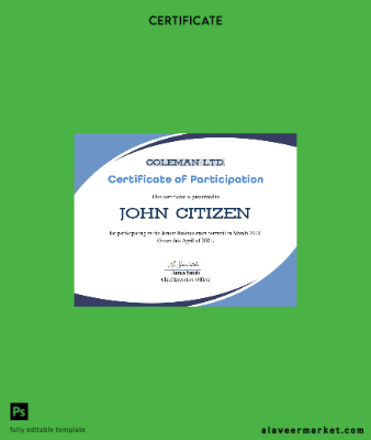 USA Program Participation cert