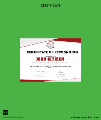 USA Recognition Cert Version 2