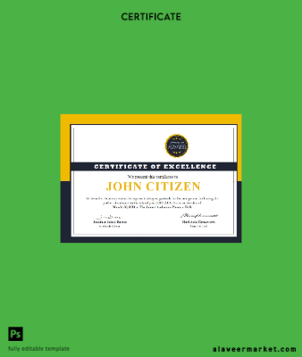 USA School Attendance cert