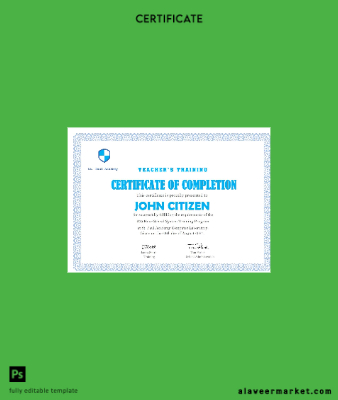 USA Teacher’s Training Completion Sertifika