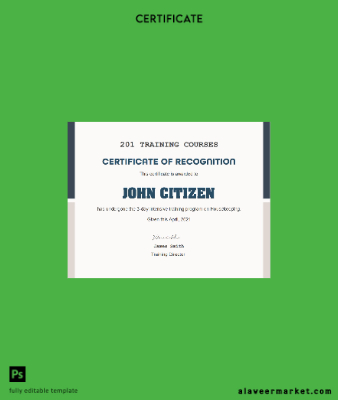 USA Training Course cert