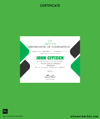 USA University Completion cert