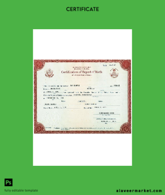 USA certification of report of birth