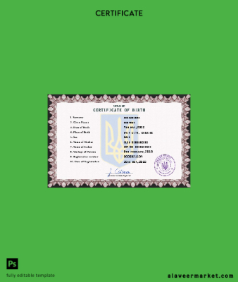 Ukrayna vital record birth Sertifika PSD Şablon fully Düzenlenebilir