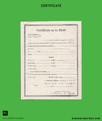 United State Circuit court of Michigan birth Sertifika