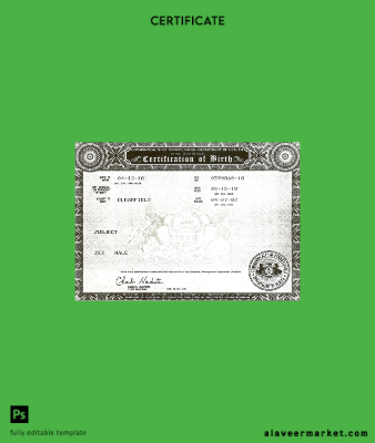United States Commonwealth of Pennsylvania Department of Sağlık birth Sertifika